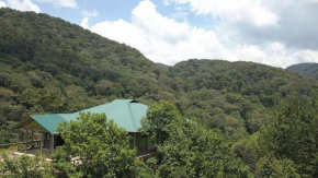 Gorilla Hills Eco-lodge